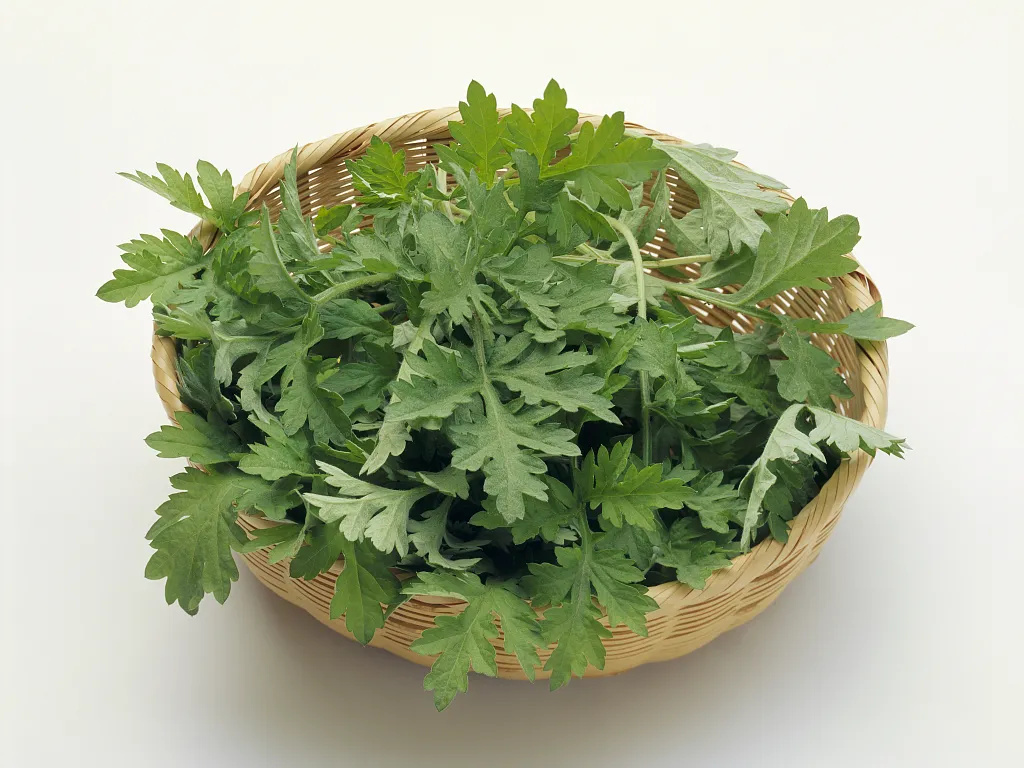  艾草